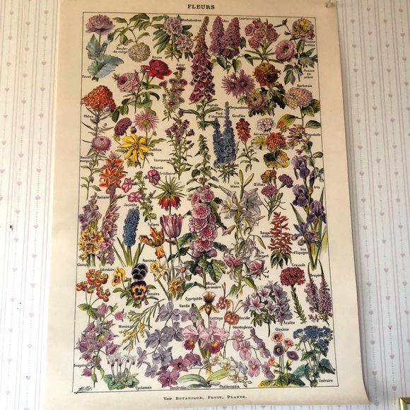 Other - Beautiful Floral Wall Picture